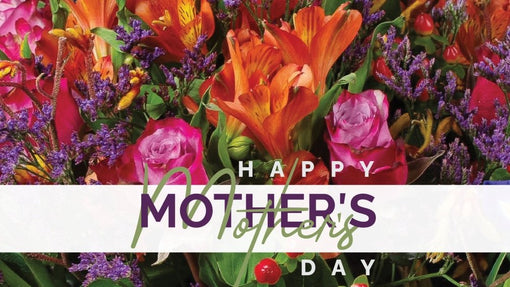 The Emotional Power of Flowers and Plants: Why They Make the Perfect Gift for Mother's Day - Alissar Flowers