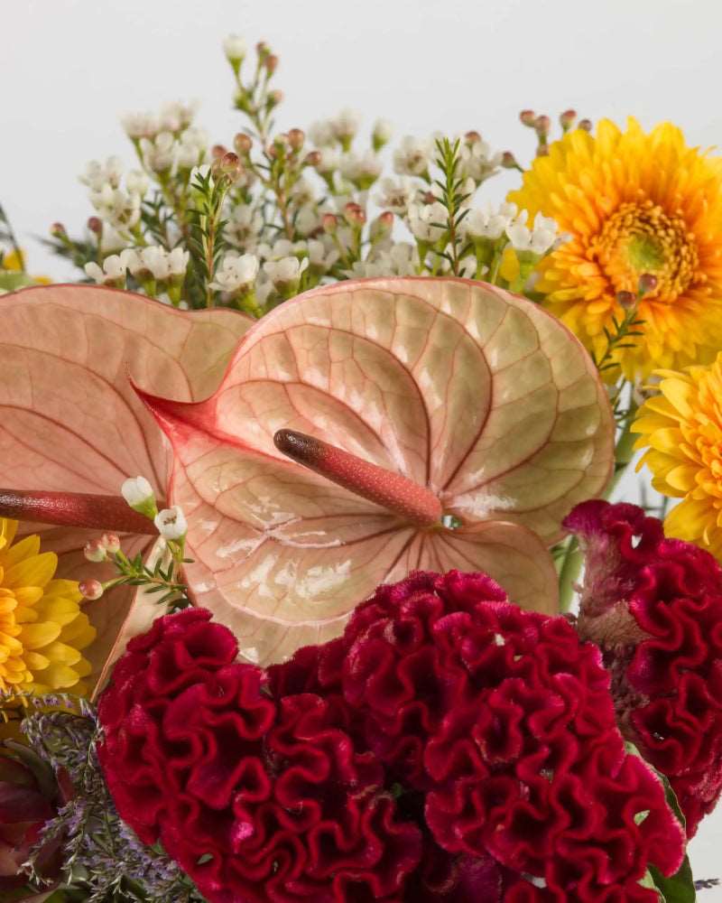 A Day To Remember|Cardboard Box - Alissar Flowers Amman