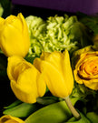A Little Sunshine type | Alissar Flowers