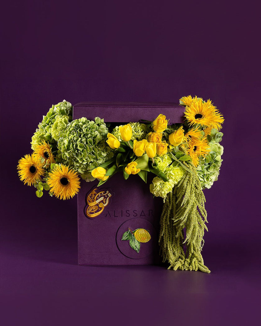 A Little Sunshine type | Alissar Flowers