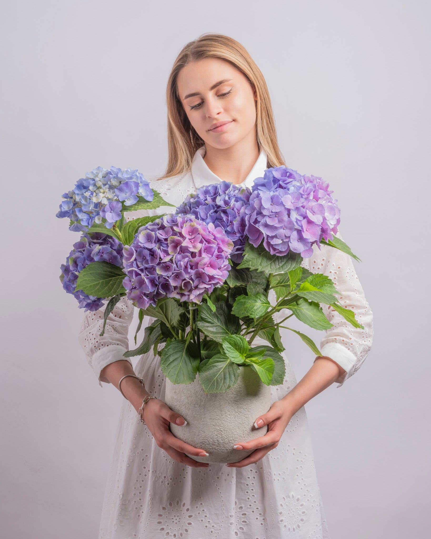 Afterglow type | Alissar Flowers