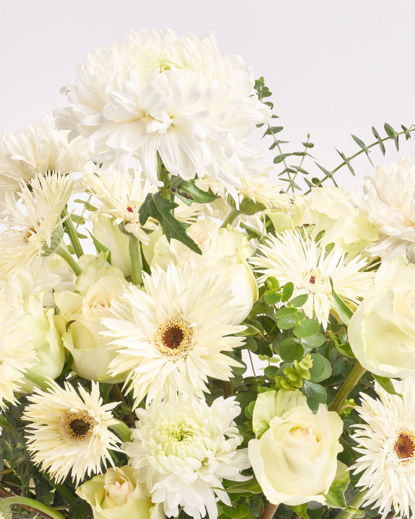 Alpine Serenity type | Alissar Flowers