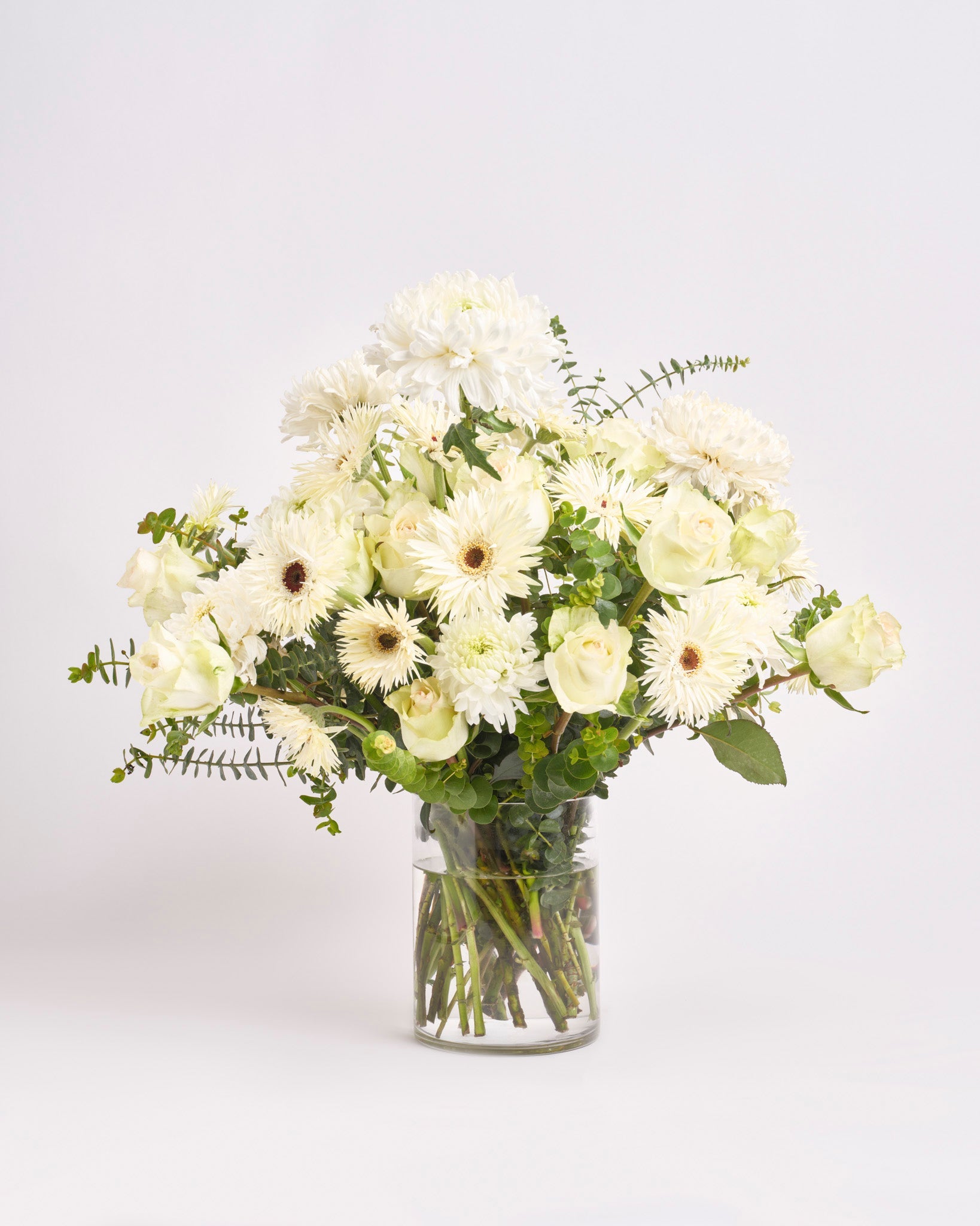 Alpine Serenity type | Alissar Flowers