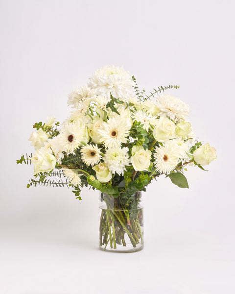 Alpine Serenity type | Alissar Flowers