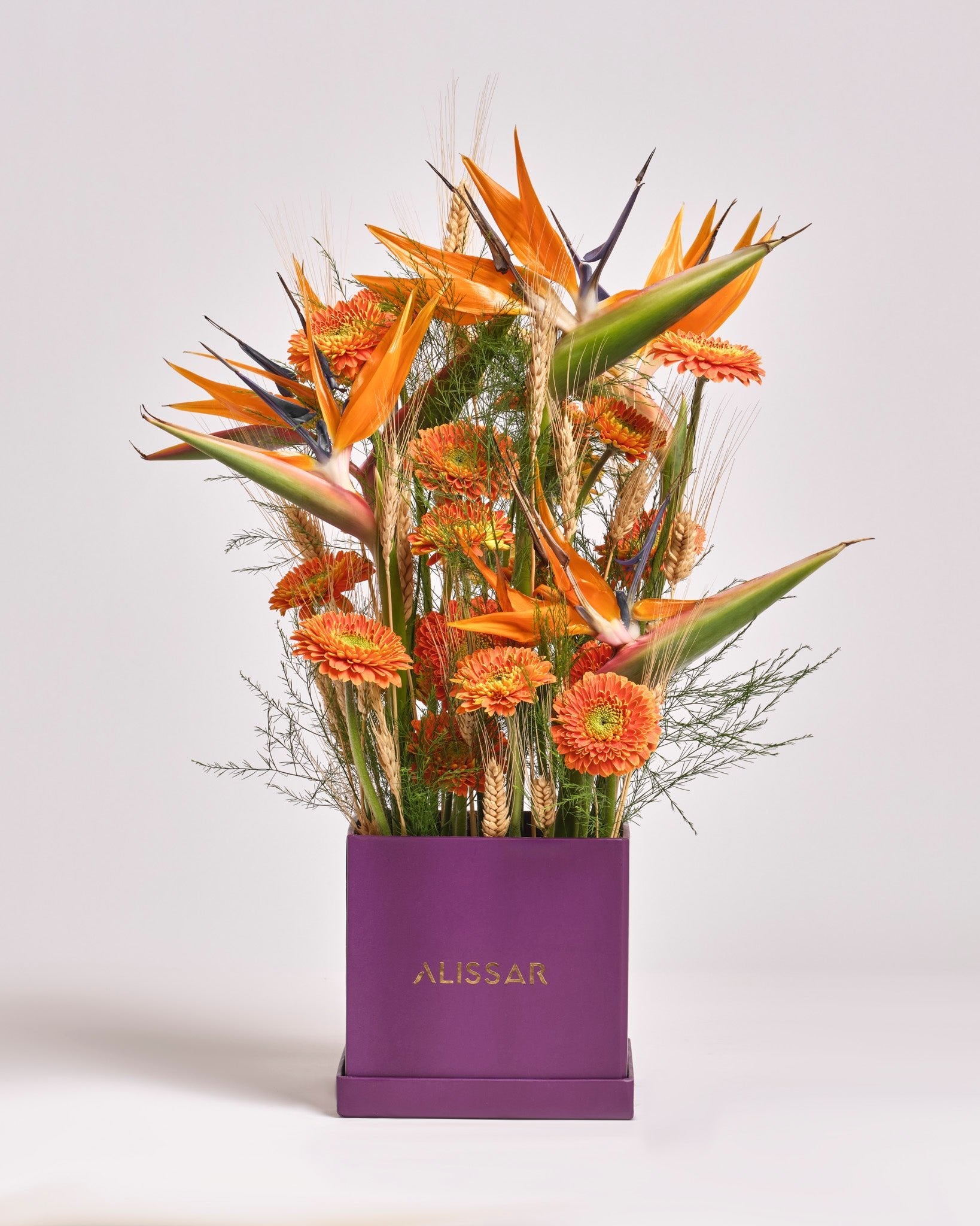 Amber Wild type | Alissar Flowers