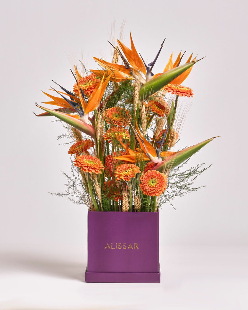 Amber Wild type | Alissar Flowers