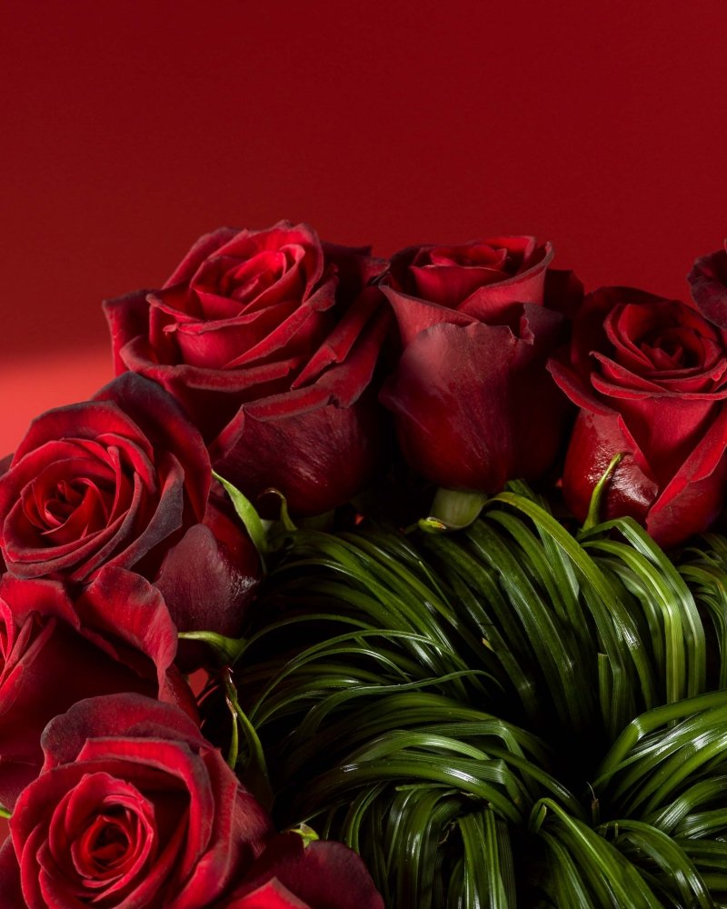 Amorelle|Valentine's Day - Alissar Flowers Amman