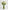 Belle d’Amour|Flowers in a Vase - Alissar Flowers Amman