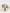 Bisou Blossom|Flowers in a Vase - Alissar Flowers Amman