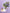 Bloom & Cake|Graduation Bundle - Alissar Flowers Amman
