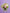 Bloom & Glow|Graduation Bundle - Alissar Flowers Amman