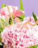 Blooms & Cake|Graduation Bundle - Alissar Flowers Amman
