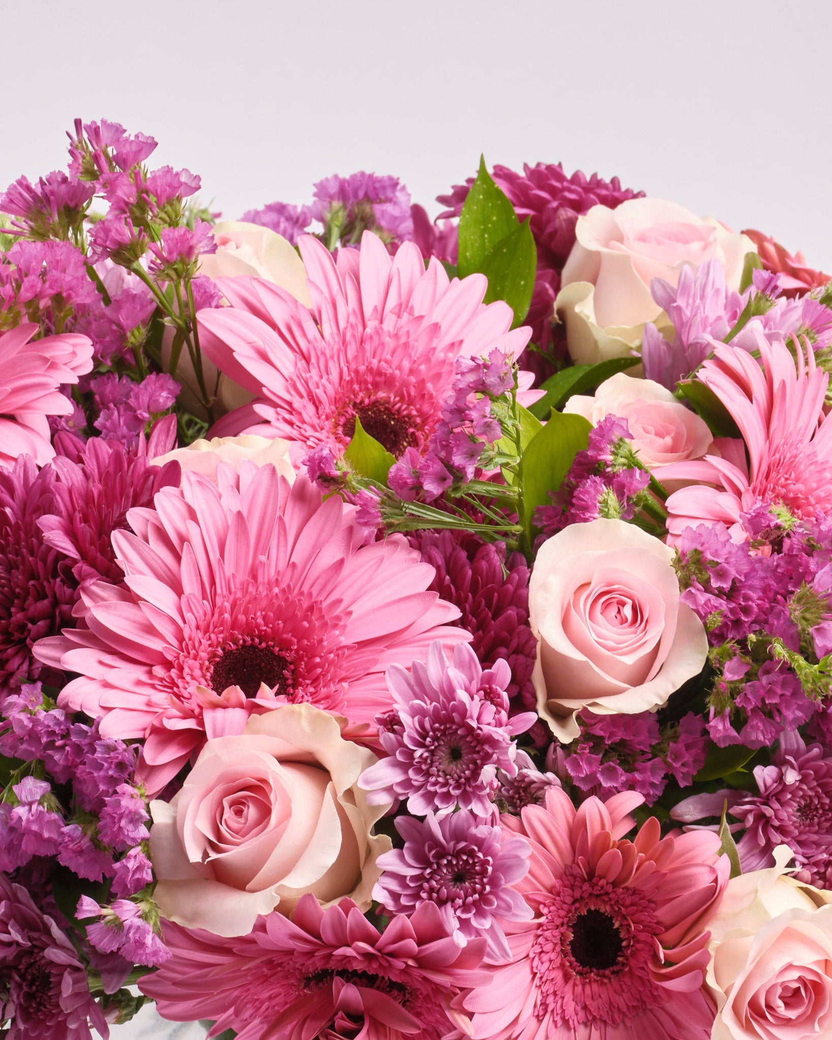 Blush Serenity type | Alissar Flowers