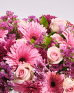 Blush Serenity type | Alissar Flowers