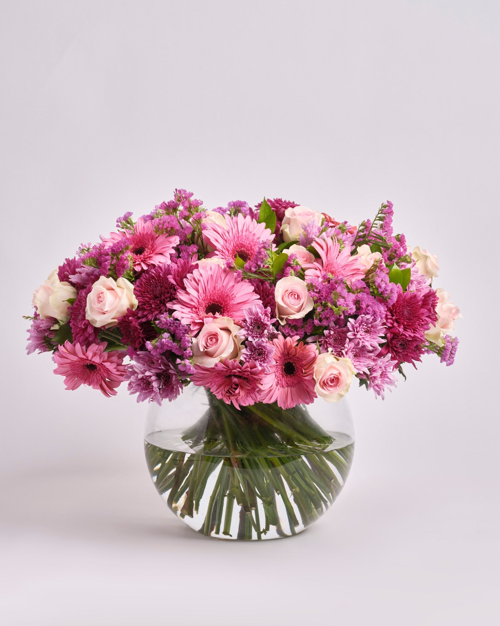 Blush Serenity type | Alissar Flowers