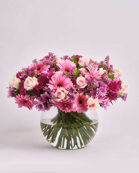 Blush Serenity type | Alissar Flowers