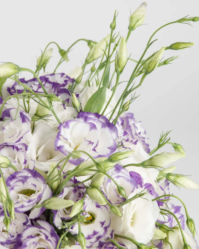 Elegantly Yours|Flowers in a Bag - Alissar Flowers Amman