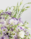 Elegantly Yours|Flowers in a Bag - Alissar Flowers Amman