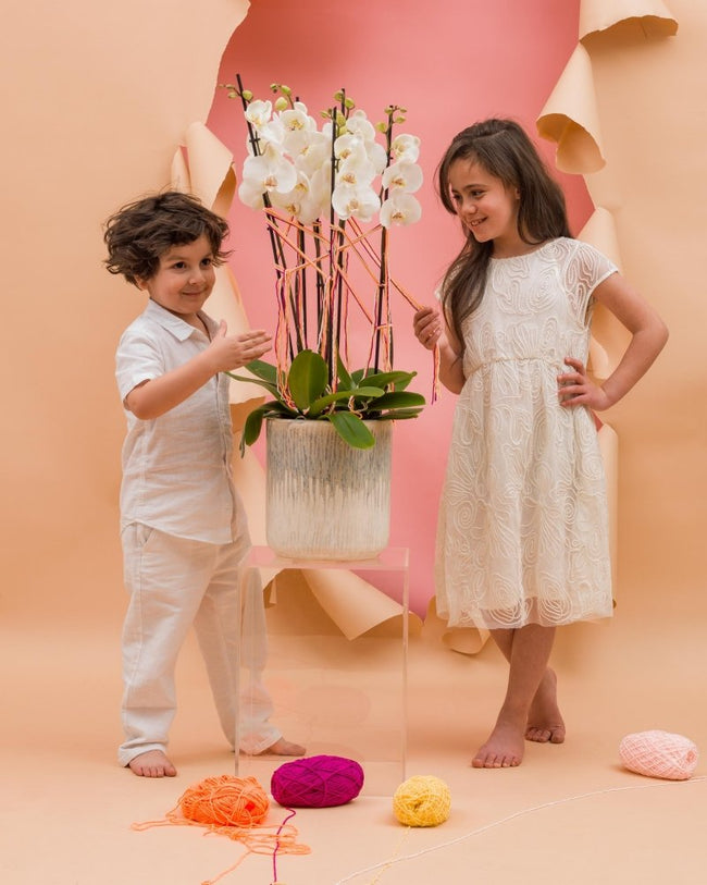 Ethereal Touch|Mother's Day 2025 - Alissar Flowers Amman