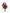 Fleur Bordeaux|Flowers in a Vase - Alissar Flowers Amman