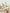 Florally Yours|Flowers in a Bag - Alissar Flowers Amman