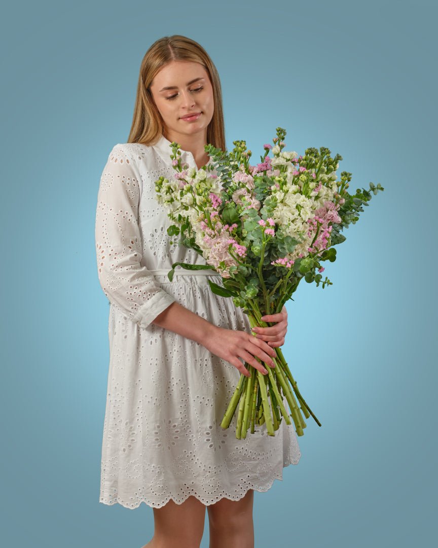Gentle Care type | Alissar Flowers