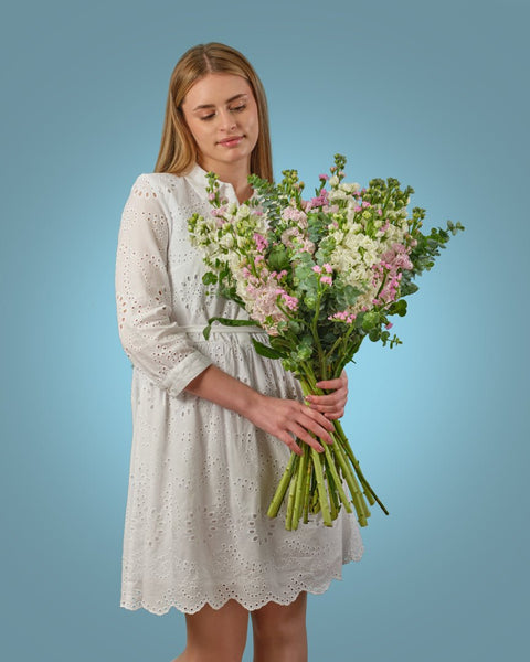 Gentle Care type | Alissar Flowers