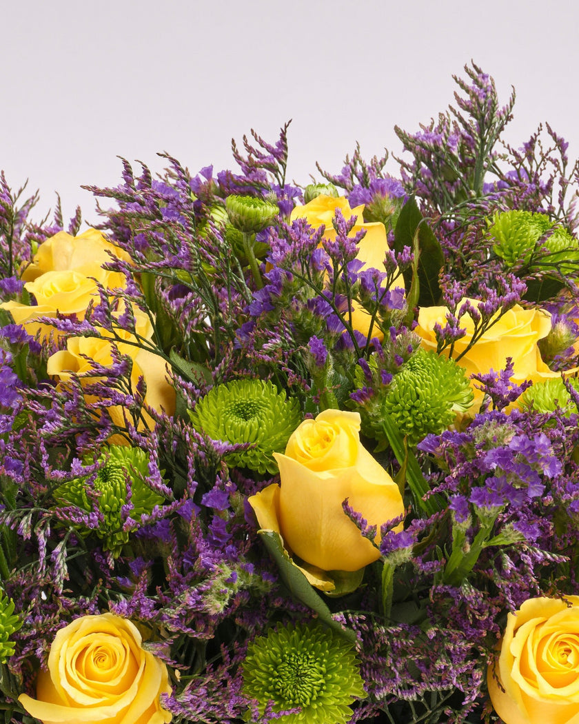 Golden Meadow type | Alissar Flowers