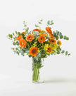 Golden Rays|Flowers in a Vase - Alissar Flowers Amman