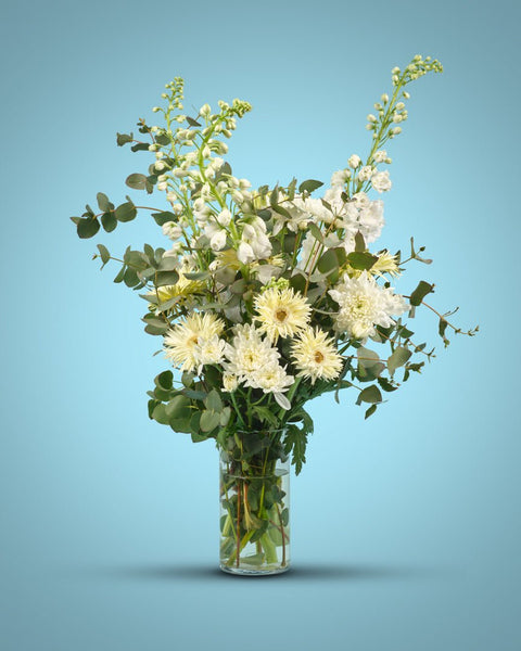 Guiding Light type | Alissar Flowers