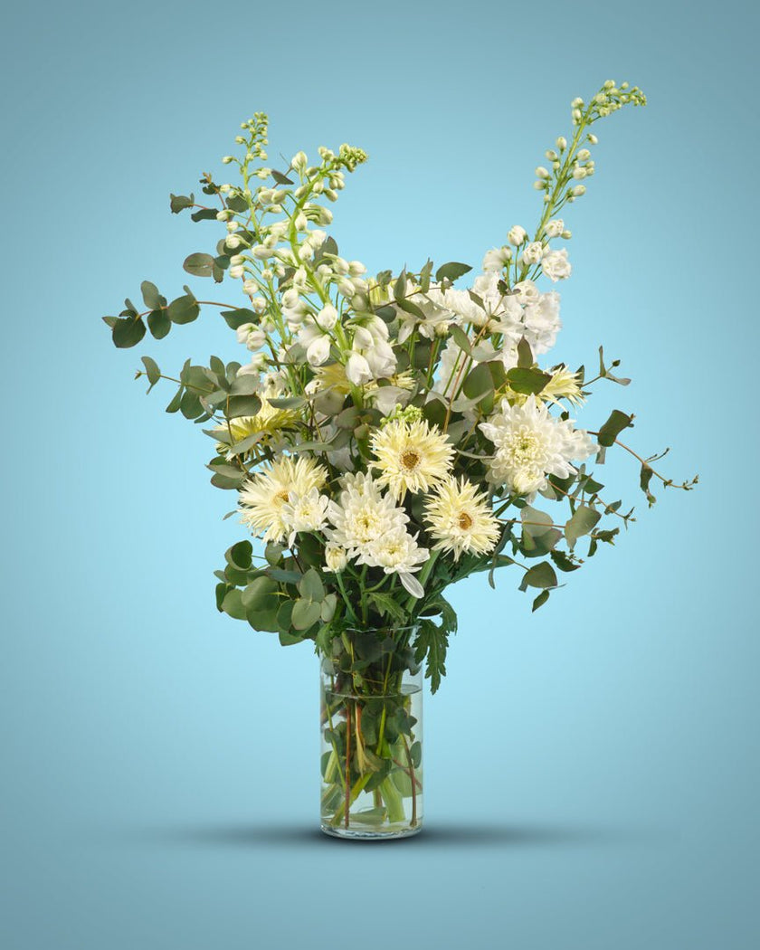 Guiding Light type | Alissar Flowers