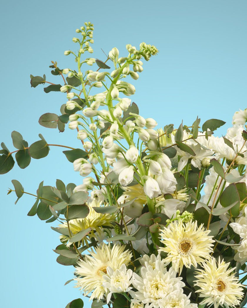 Guiding Light type | Alissar Flowers