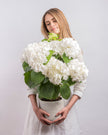 Halo type | Alissar Flowers