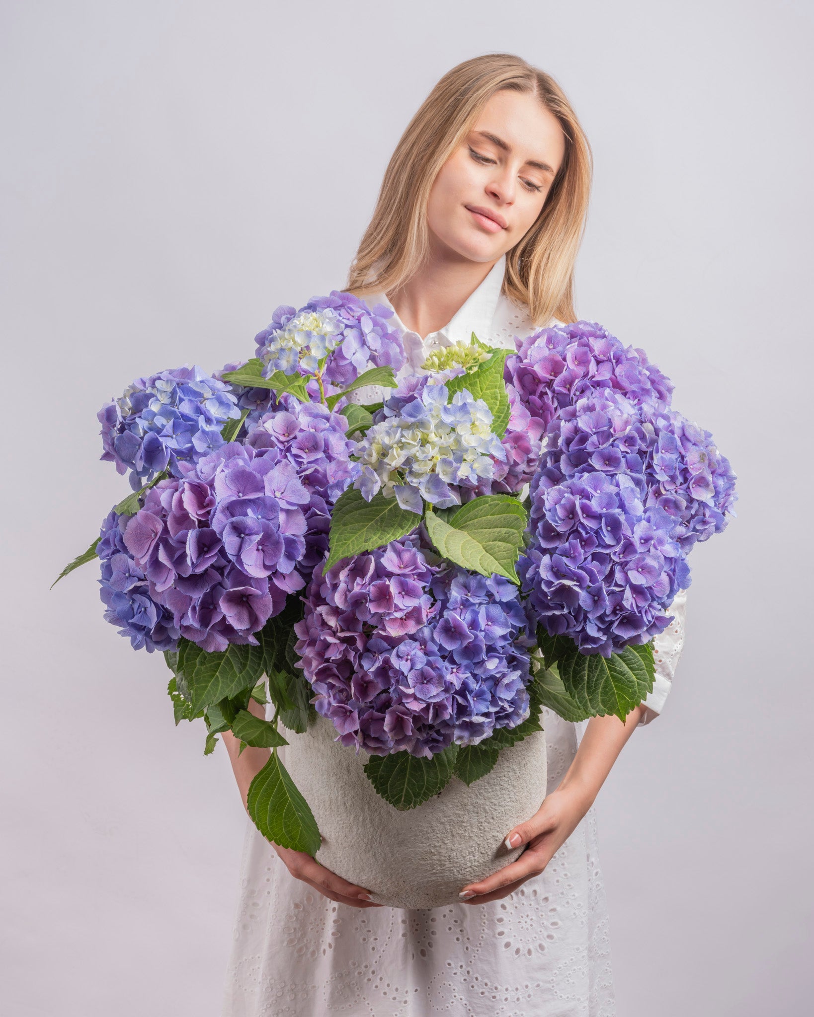 Haven type | Alissar Flowers