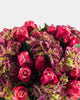 Hold Me Abloom|Hand Bouquet - Alissar Flowers Amman