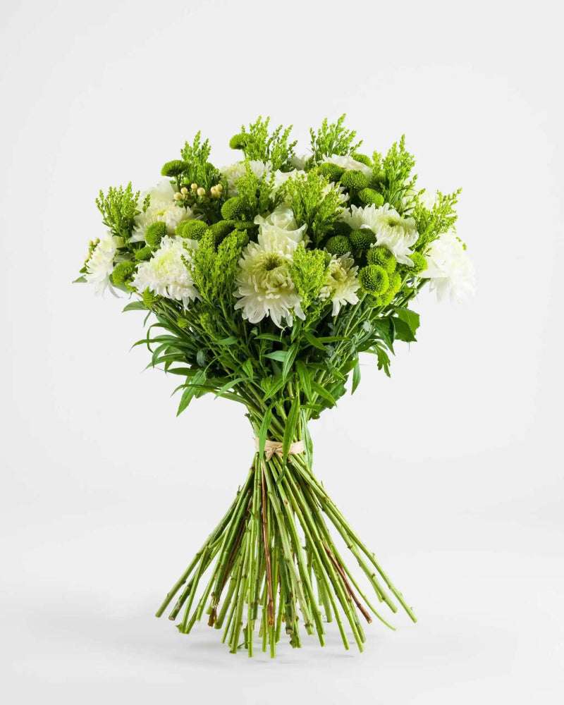 Hold Me Anew|Hand Bouquet - Alissar Flowers Amman