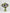 Hold Me Celestial|Hand Bouquet - Alissar Flowers Amman