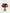 Hold Me Dear|Hand Bouquet - Alissar Flowers Amman