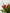 Hold Me Passionate|Hand Bouquet - Alissar Flowers Amman