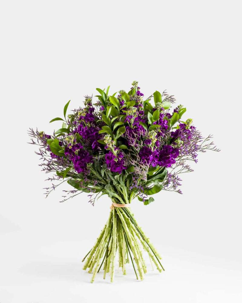 Hold Me Tender|Hand Bouquet - Alissar Flowers Amman