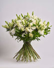 Ivory Whisper type | Alissar Flowers