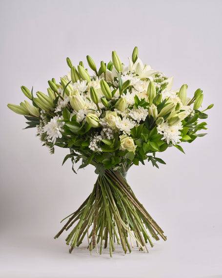 Ivory Whisper type | Alissar Flowers