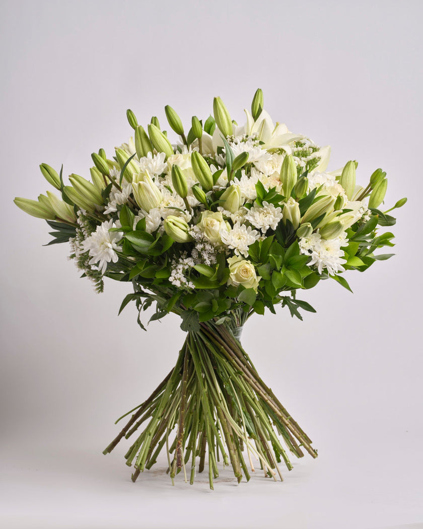 Ivory Whisper type | Alissar Flowers