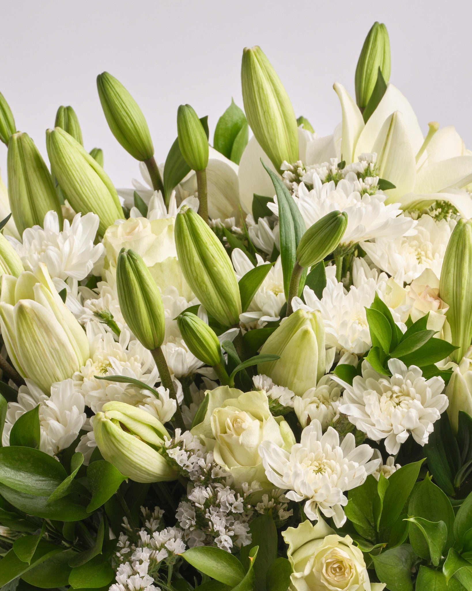 Ivory Whisper type | Alissar Flowers