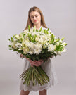 Ivory Whisper type | Alissar Flowers