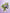Made to Rise Graduation|Graduation Bundle - Alissar Flowers Amman