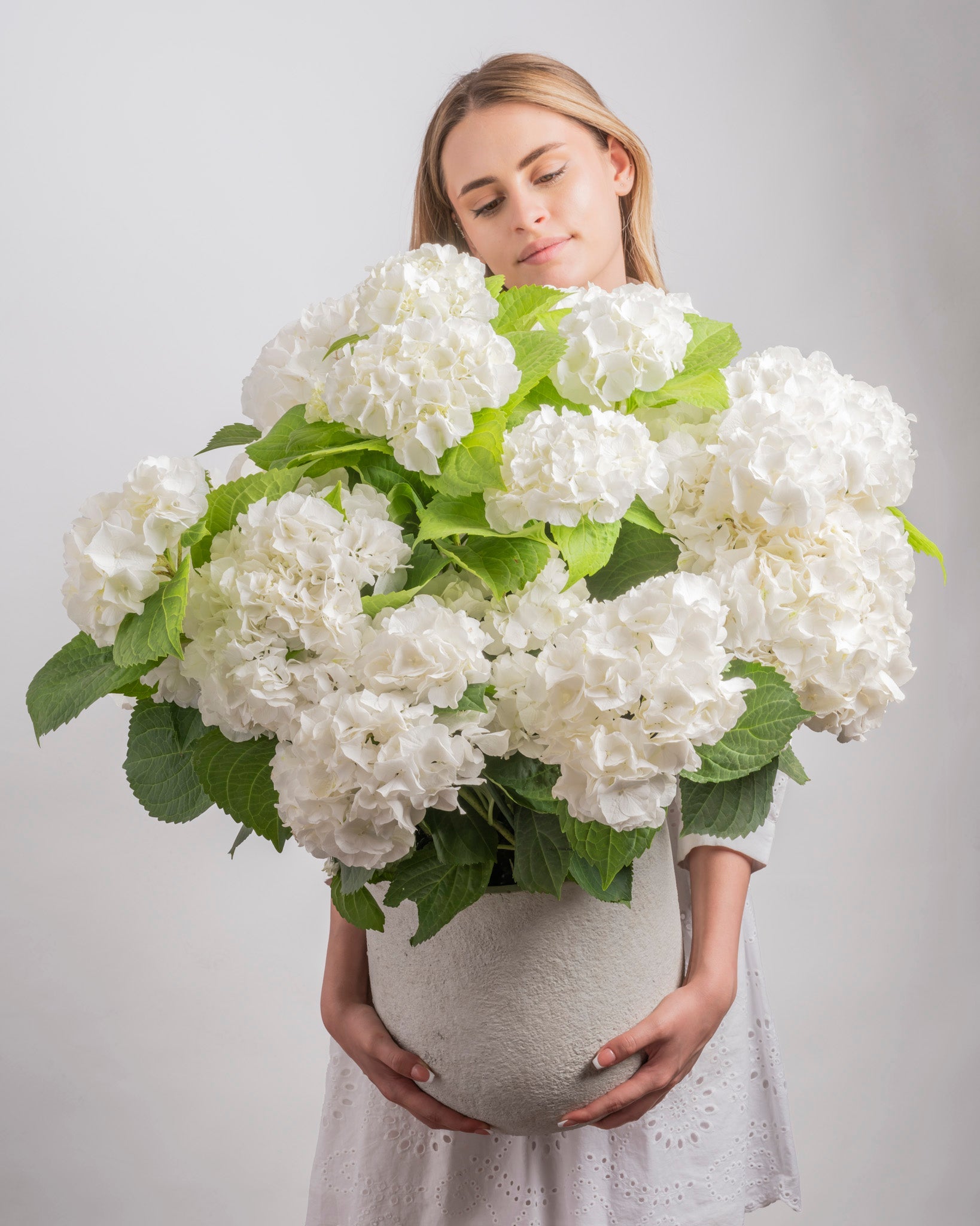 Meadow type | Alissar Flowers