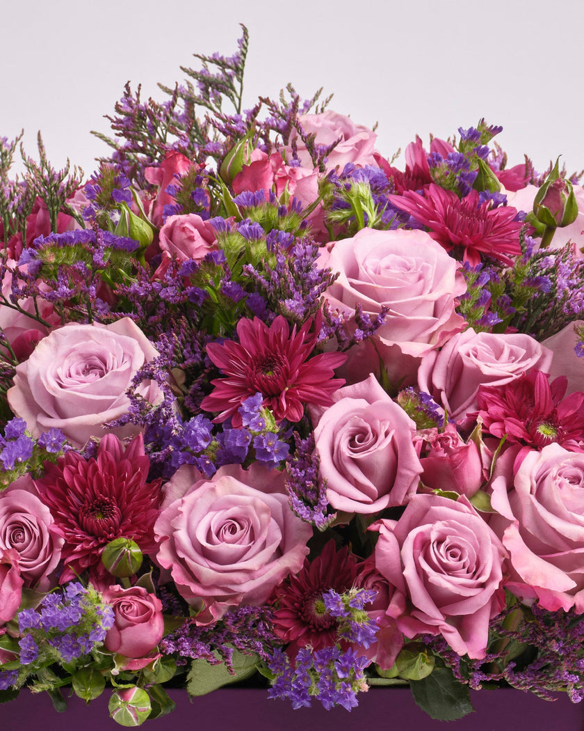 Midnight Haze type | Alissar Flowers