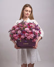 Midnight Haze type | Alissar Flowers