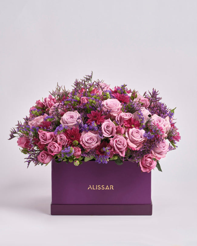Midnight Haze type | Alissar Flowers